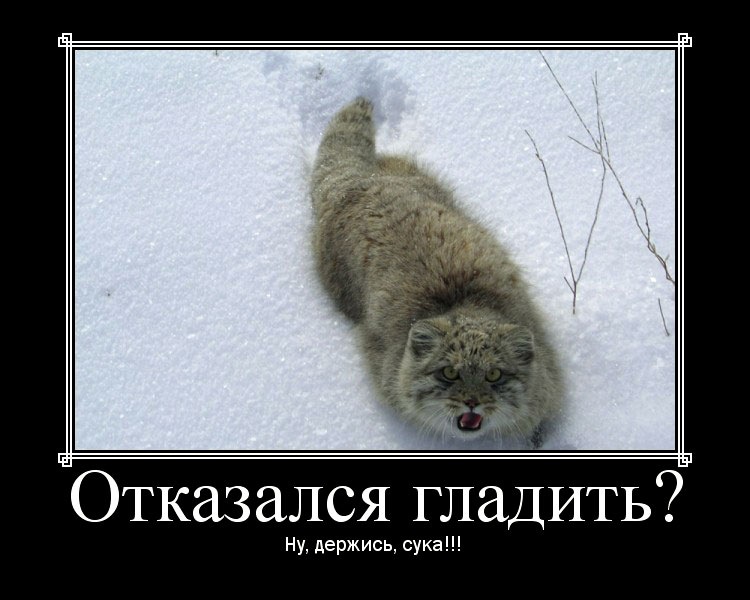 http://cs11105.vkontakte.ru/u17271925/-6/y_28f08bef.jpg
